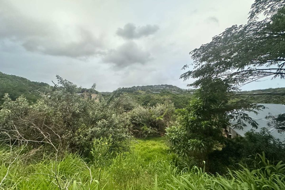 Prime Vacant Land with Approved Plans | Simbithi Eco Estate - Photo 2