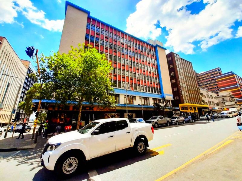 Impressive investment in the fauna of the vibrant Braamfontein