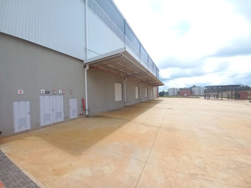 11 972m2 Louwlardia Warehouse To Let - Photo 4