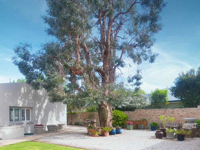 AN EXTRAORDINARY HOME - Photo 4