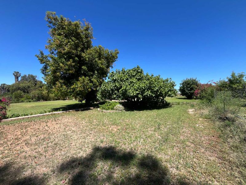 A spacious garden area featuring mature trees, established garden beds, and a large lawn, offering potential for landscaping and outdoor development.