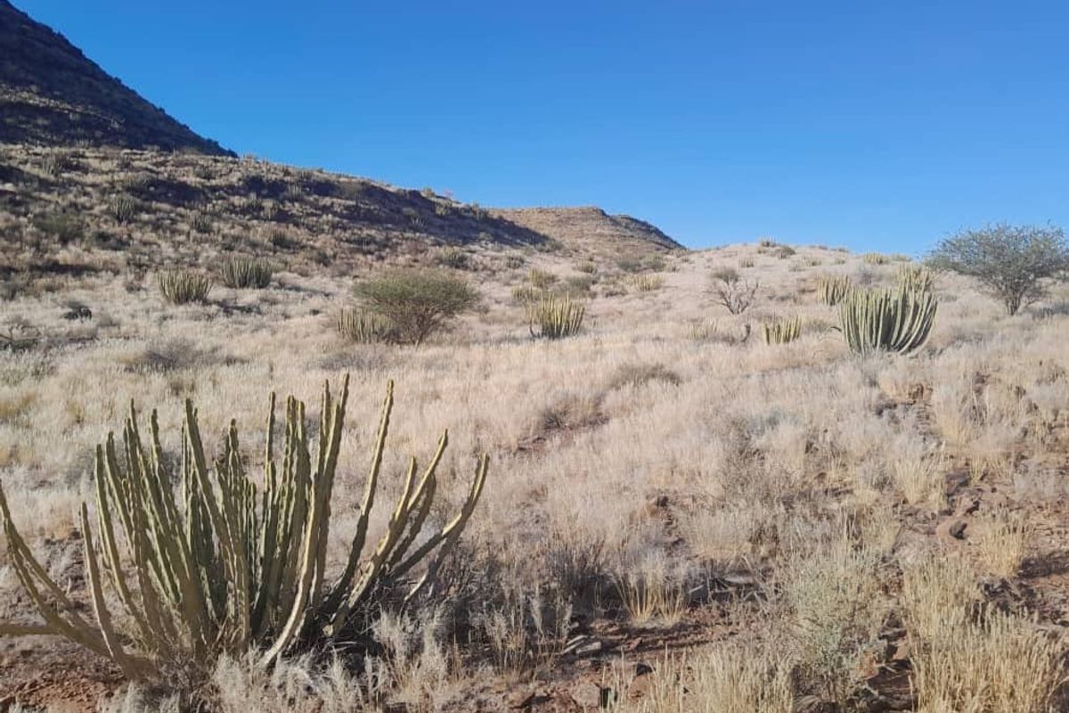 IDEAL LIVESTOCK / HUNTING FARM FOR SALE NEAR KEETMANSHOOP - NAMIBIA - Photo 3