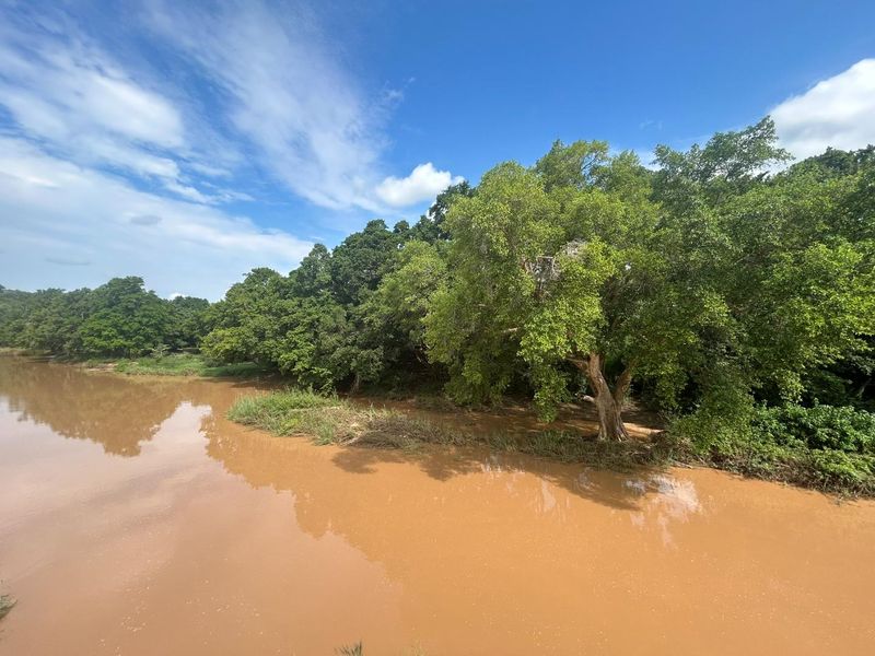 VACANT LAND FOR SALE IN ELEPHANT ROCK ECO ESTATE - Photo 10