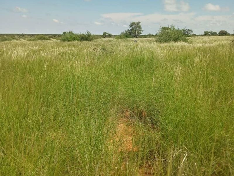 FOR SALE - FARM IN STAMPRIET, MARIENTAL AREA, NAMIBIA - Photo 2