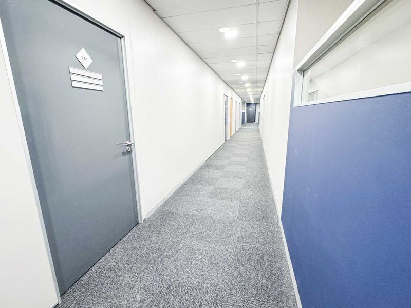 A clean, well-lit commercial office hallway featuring grey carpeting, suspended ceiling tiles, and multiple access doors to individual office suites.