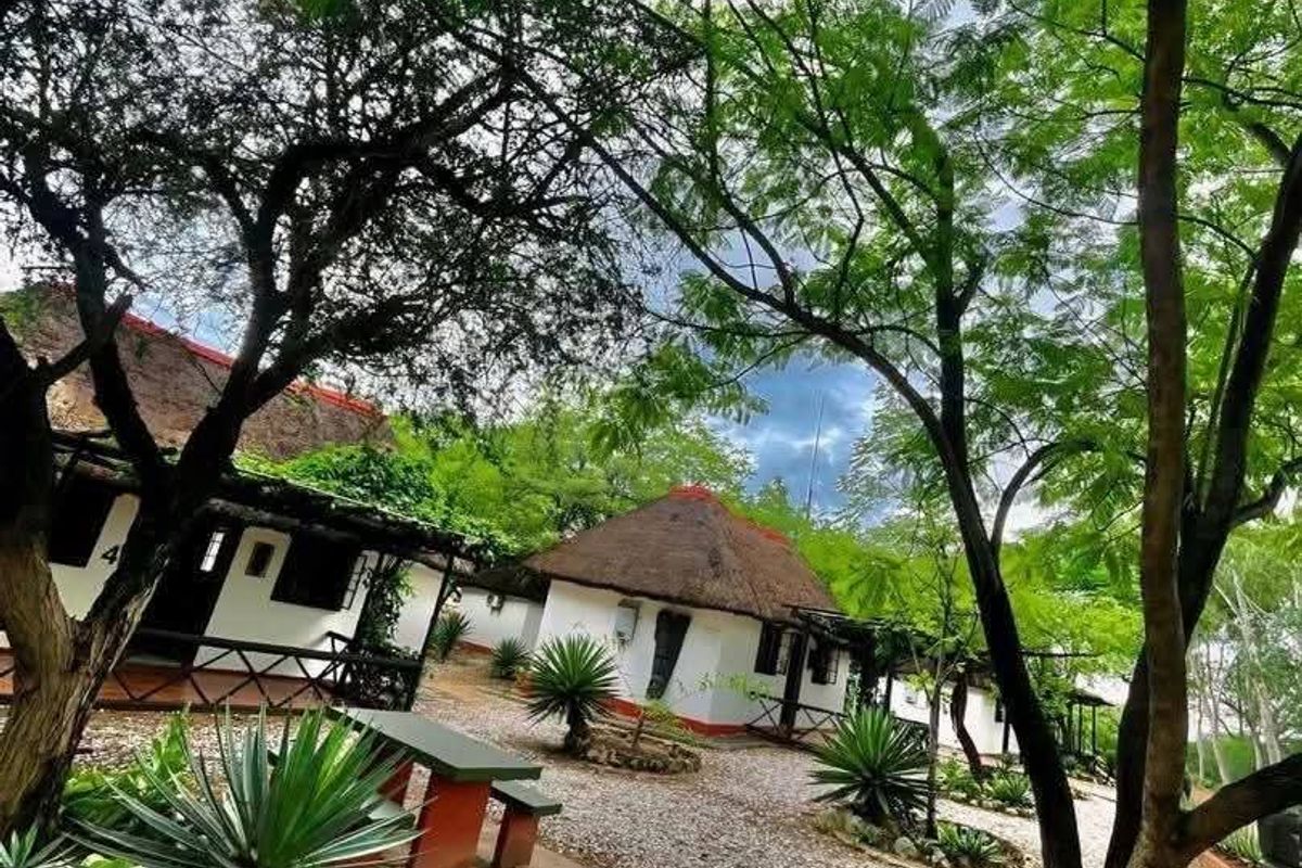 A scenic view of lodge-style units featuring traditional thatched roofs, gravel pathways, and established trees in a tranquil outdoor setting.