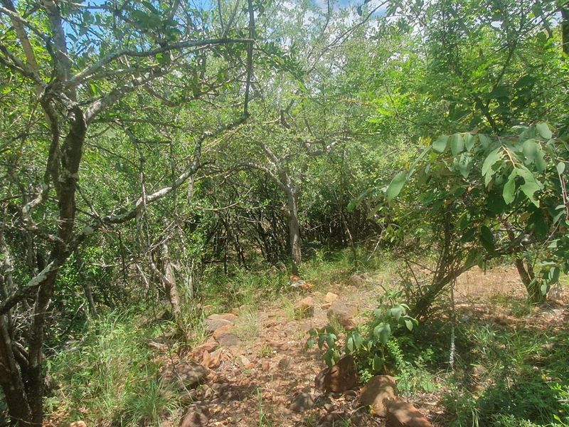 Nature Lovers Piece of Paradise!! - Photo 10