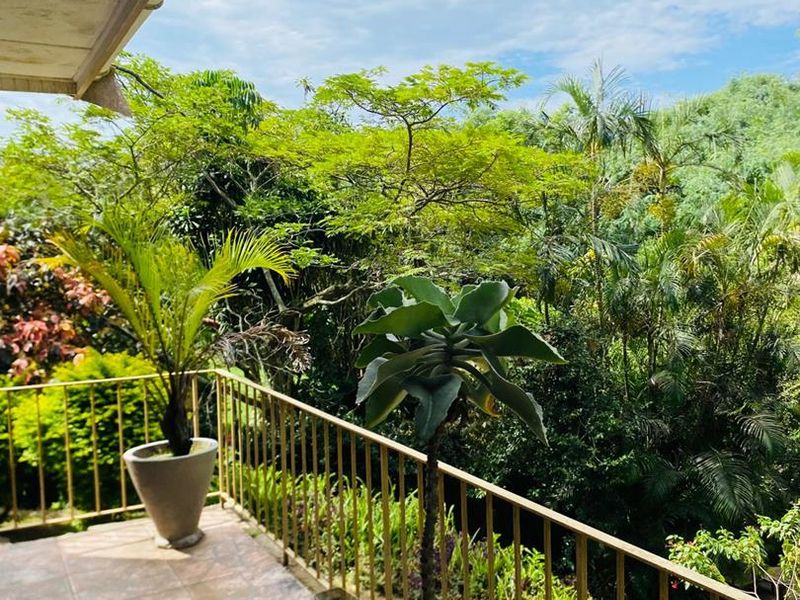 "Discover Your Dream Home in Berea West, Westville!" 2. "Luxurious Family Living Awaits in Westville!" 3. "Berea West Beauty: Spacious Family Home for Sale!" - Photo 7