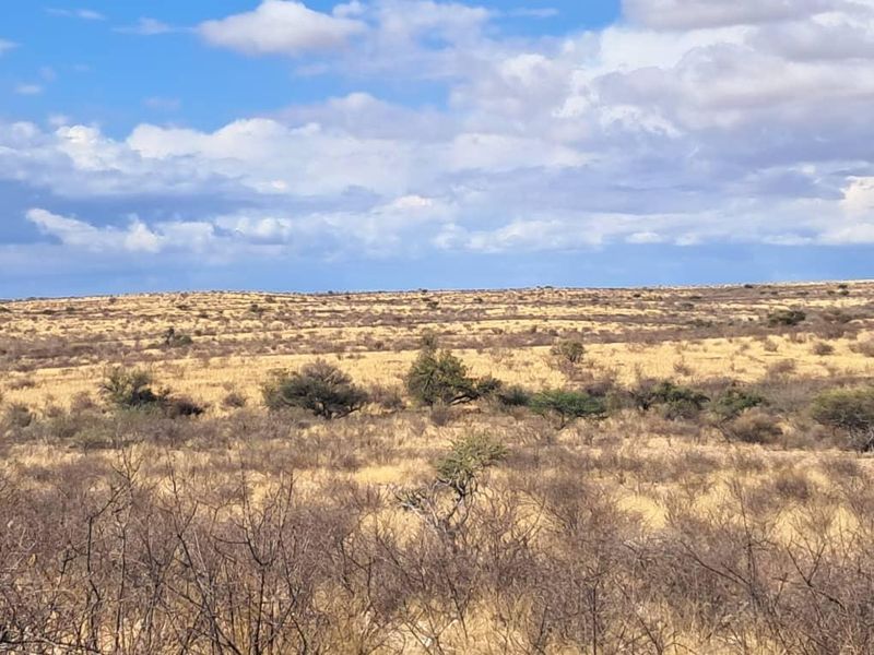 Farm Karnas - Photo 2