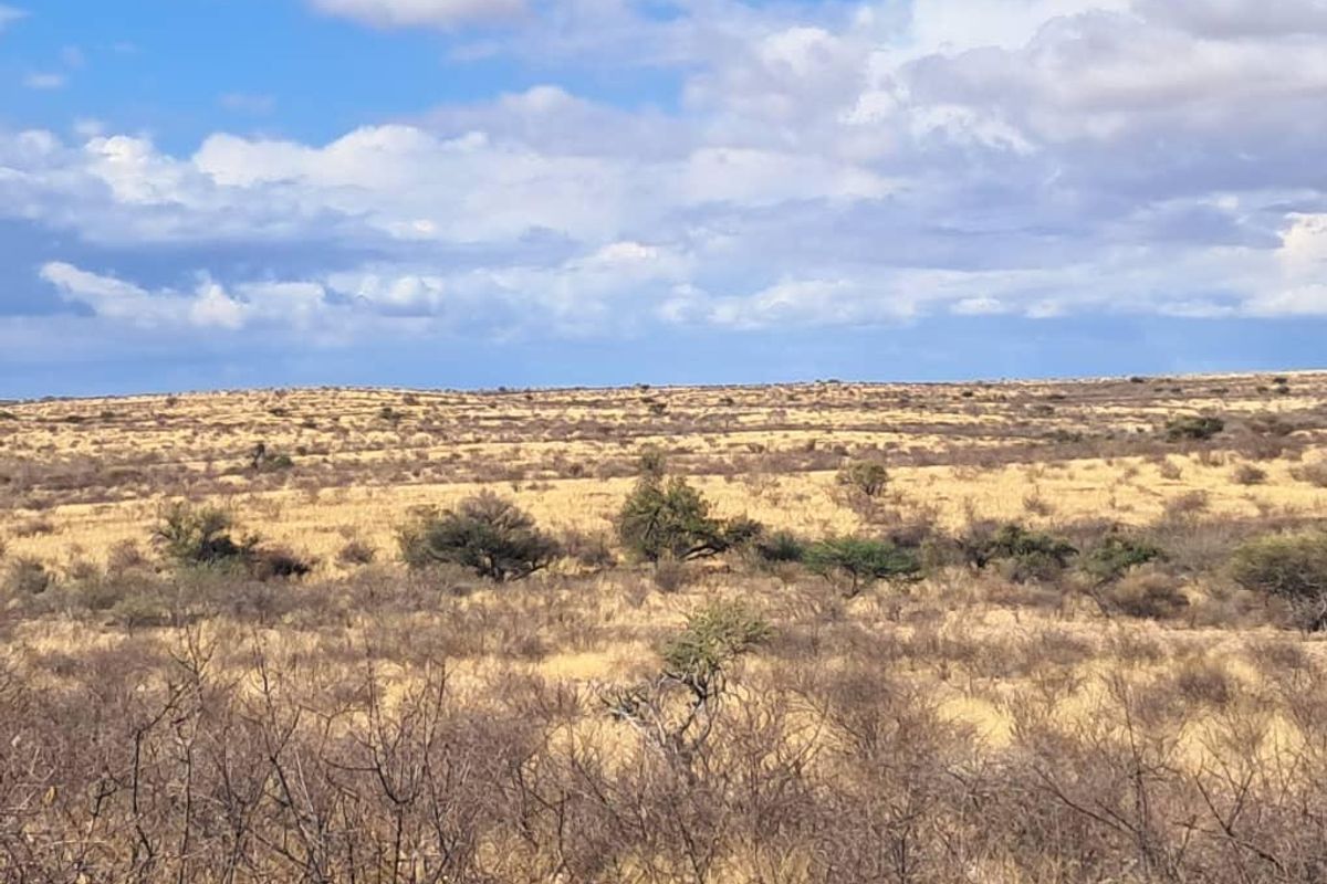 Farm Karnas - Photo 2