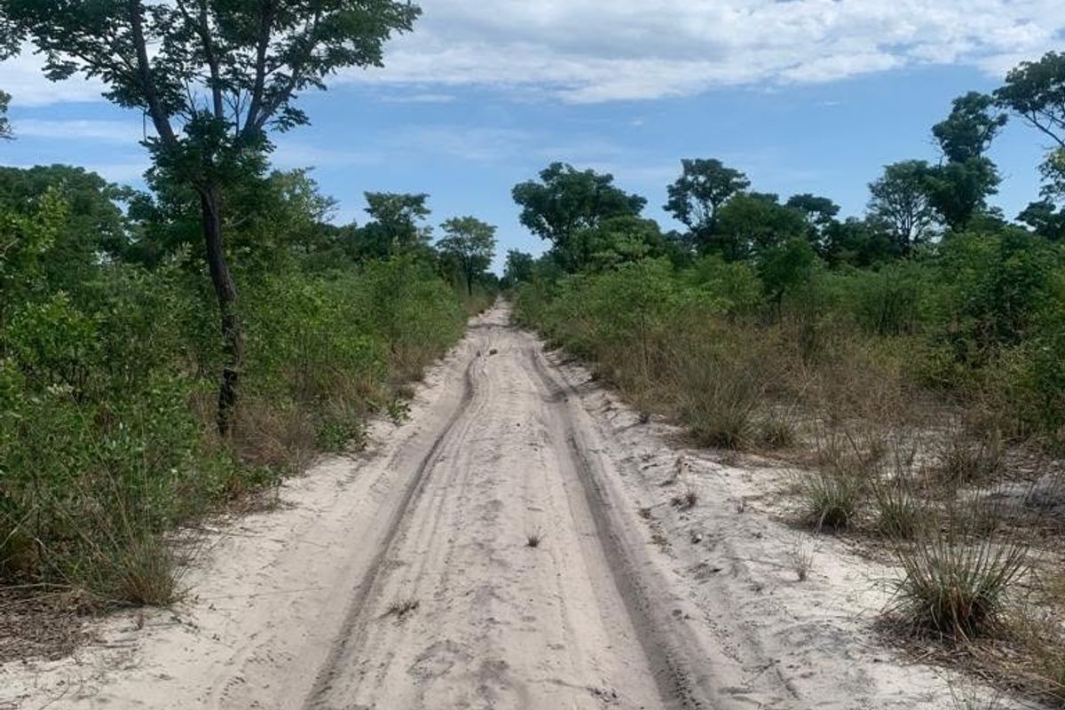 A dirt access track winding through the natural bushveld landscape of the farm property.