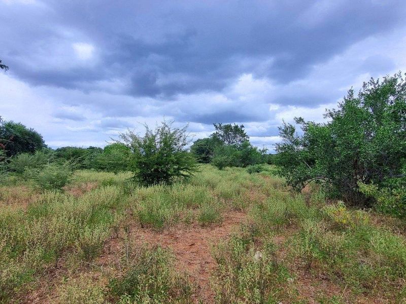 A view of a vacant residential plot featuring natural vegetation, shrubs, and mature trees under a cloudy sky.