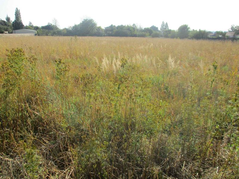 Enjoy the tranquility of Henley - Photo 4