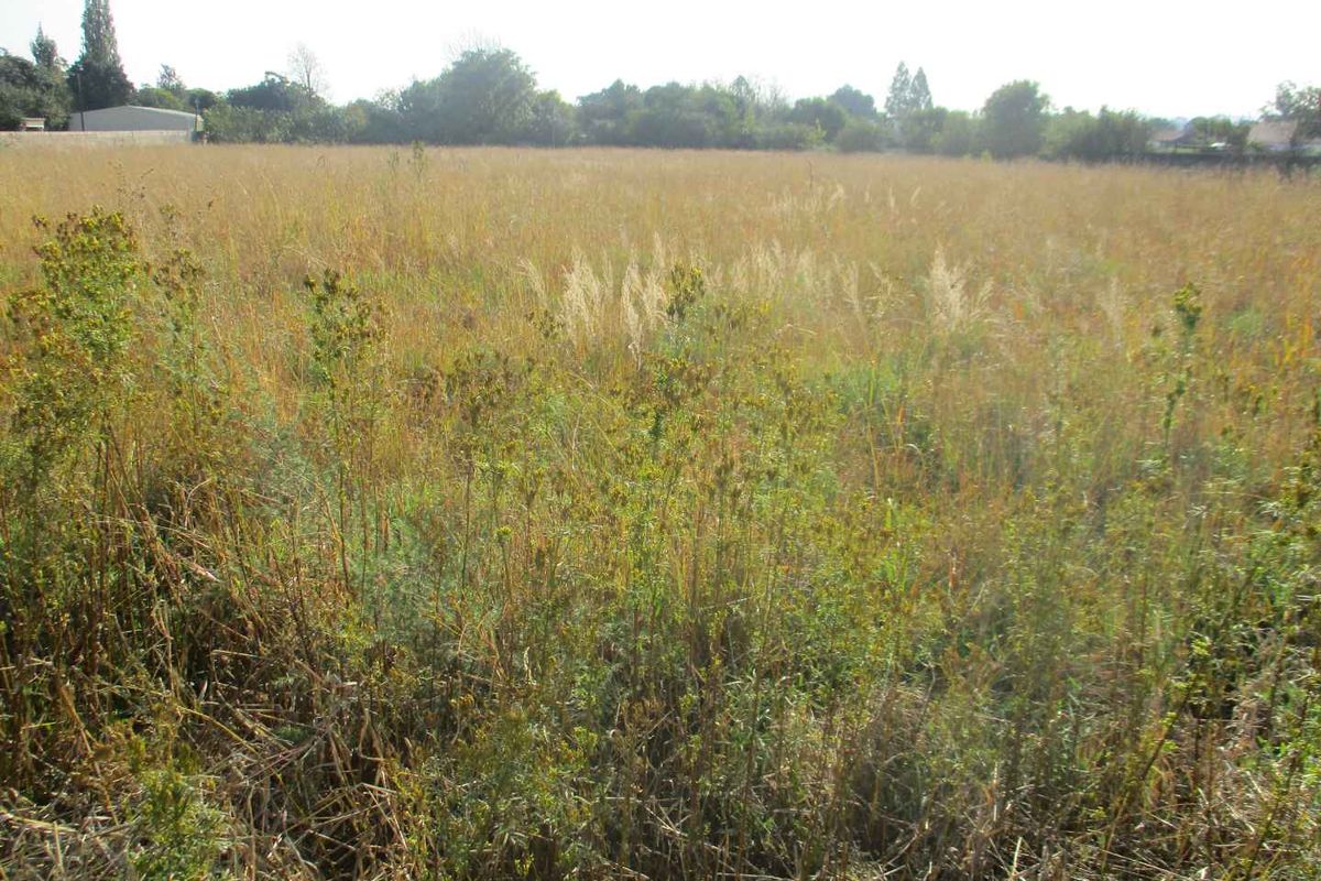 Enjoy the tranquility of Henley - Photo 4