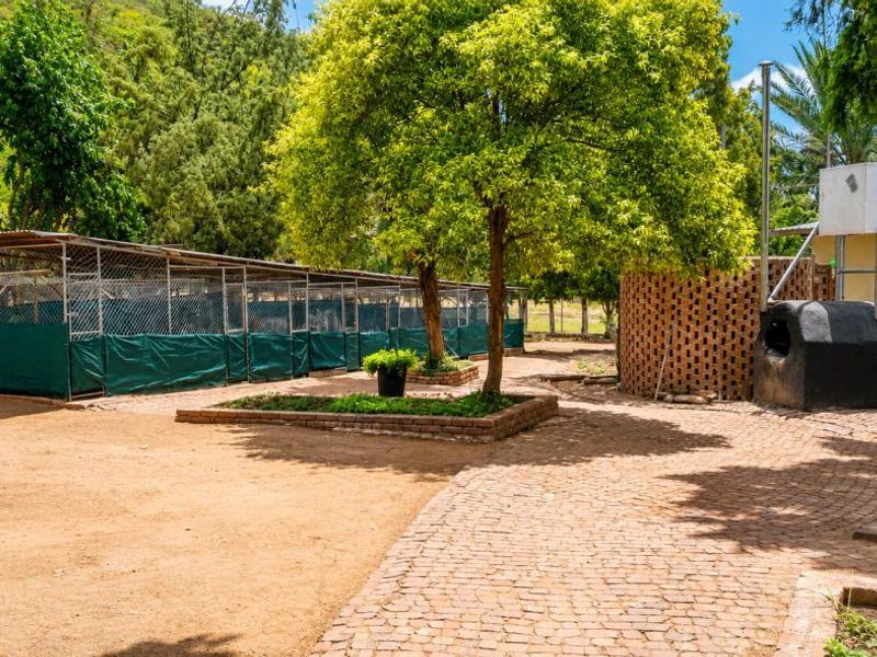 Rear exterior area featuring extensive chain-link enclosures, brick paving, established trees, and a built-in outdoor oven structure.