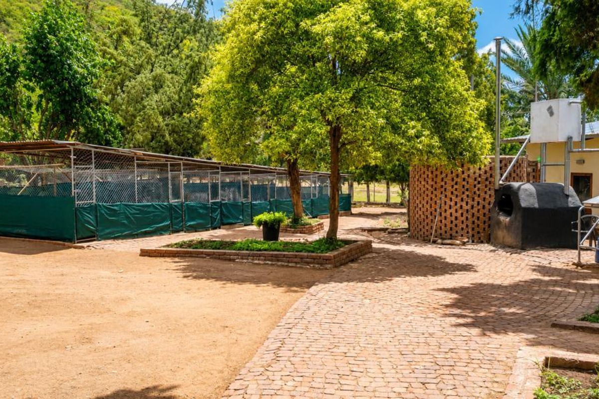 Rear exterior area featuring extensive chain-link enclosures, brick paving, established trees, and a built-in outdoor oven structure.