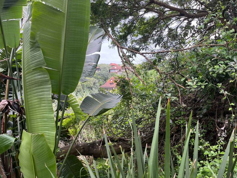 Prime Vacant Land in Zimbali – One of the Last Remaining Opportunities. - Photo 3