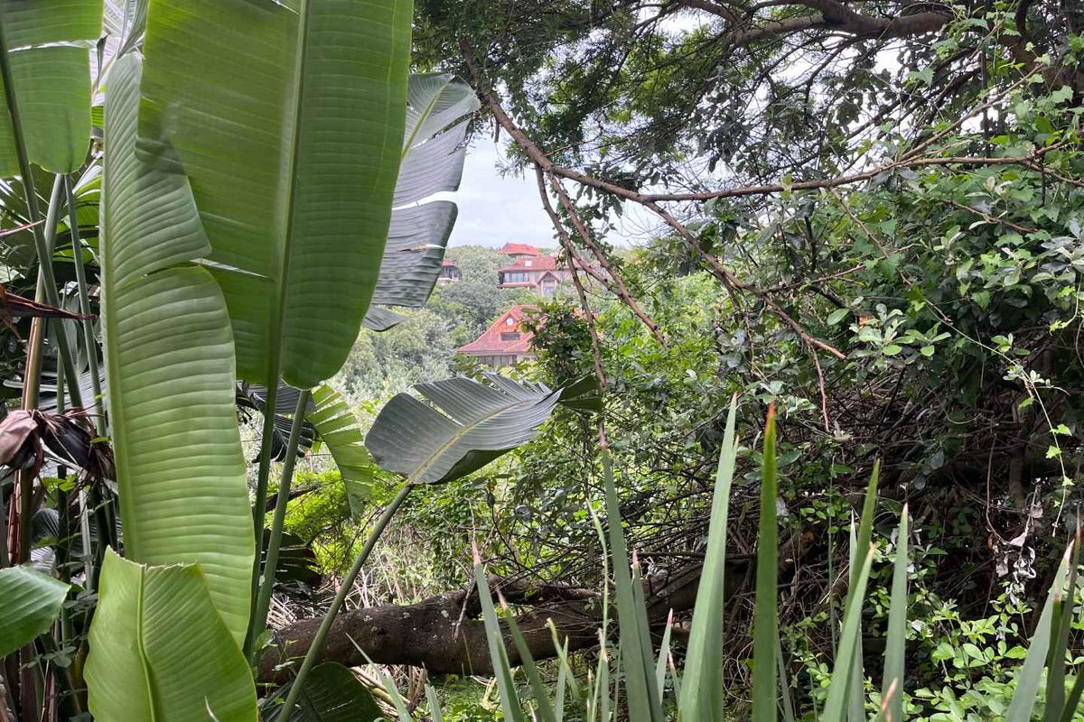 Prime Vacant Land in Zimbali – One of the Last Remaining Opportunities. - Photo 3