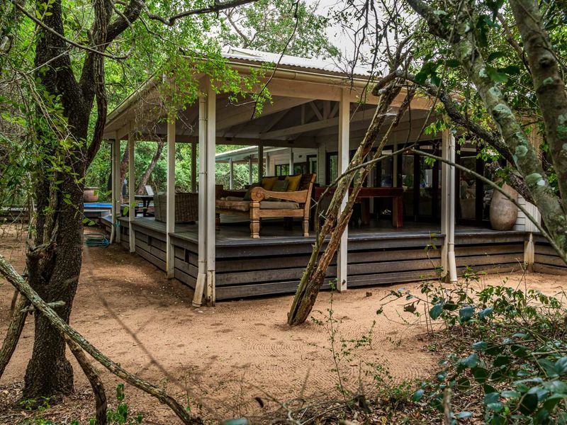 A spacious covered timber deck veranda nestled in a natural wooded setting, featuring structural support posts and direct access to the home interior.
