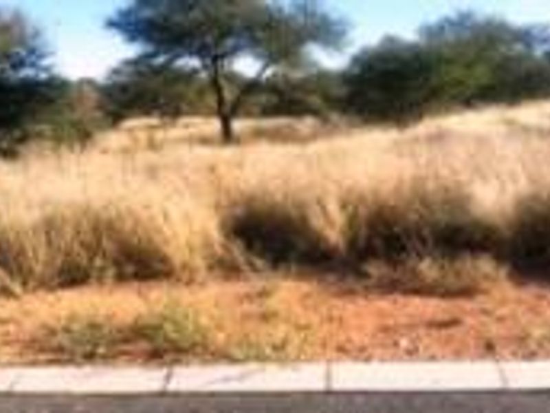 A vacant commercial land plot featuring natural vegetation and established trees, bordered by a concrete kerb along the street frontage.