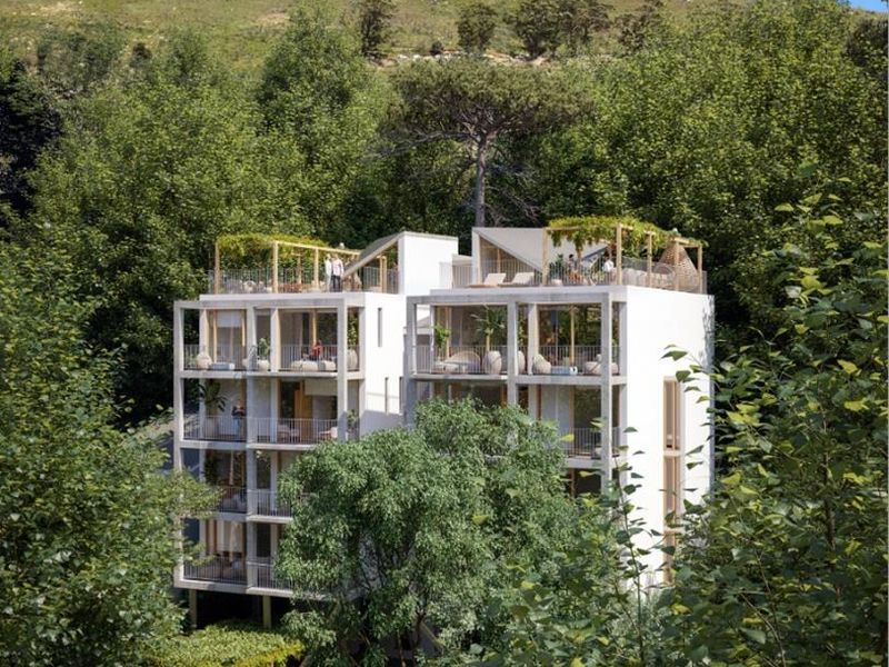 The Perfect Tree House - Photo 9