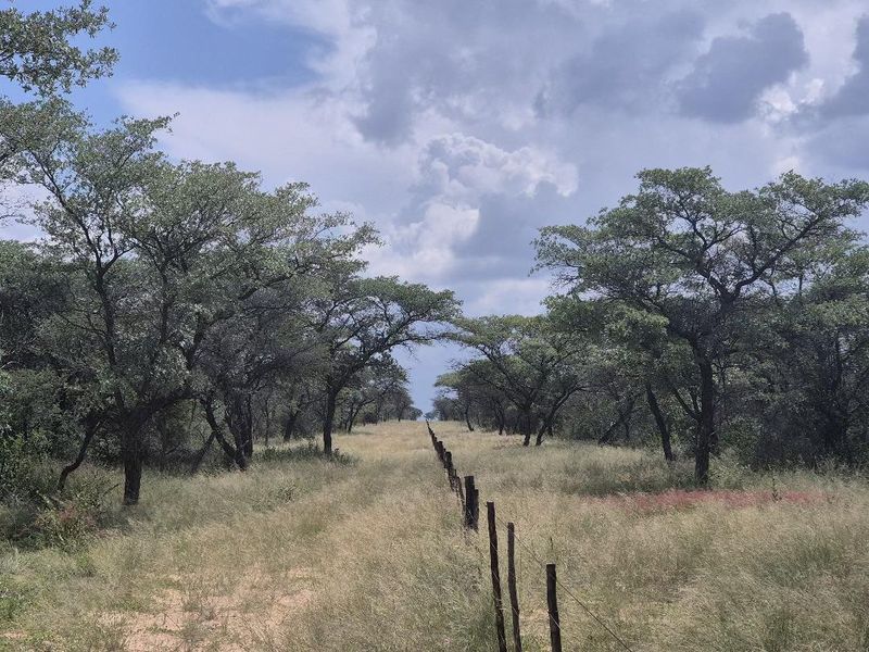 Exceptional Opportunity to Own a Well-Developed ±2,400 ha Large Stock Farm in the Sought-After Gobabis District. - Photo 6