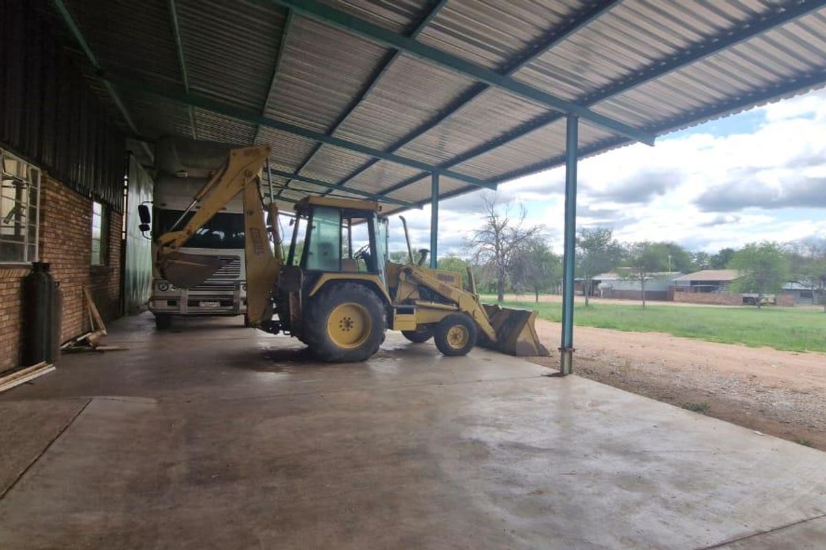 951ha Prime Wildlife, Cattle & Farming Farm for Sale – Limpopo Bushveld - Photo 3