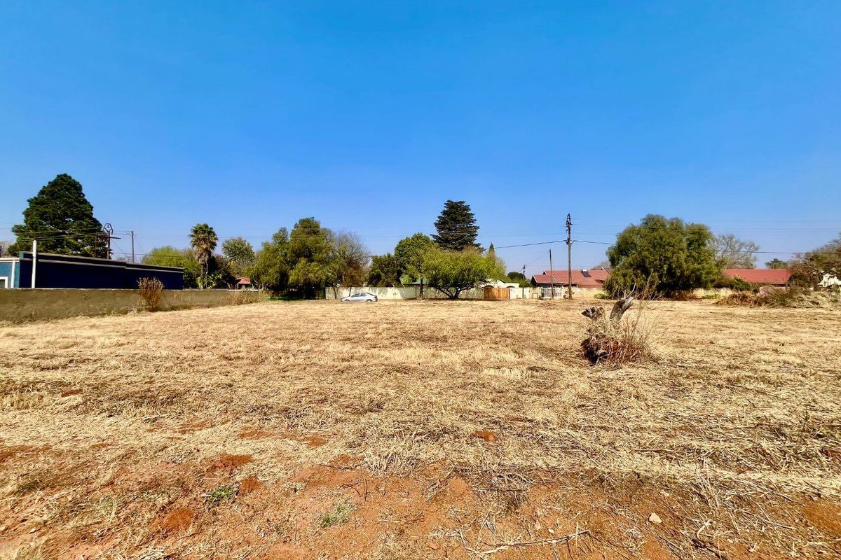 A vacant residential plot featuring dry grass, mature trees, and perimeter boundary walls, offering a clear space for future development.