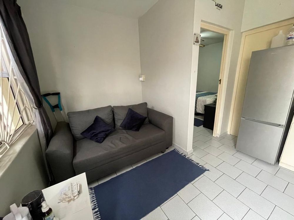 flat 1 ( open plain kitchen and lounge) 