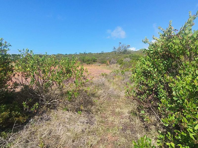 3084m2 Vacant Land With Stunning Views in Moquini Coastal Estate - Photo 4