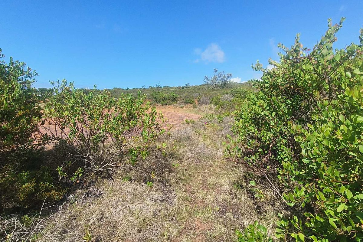 3084m2 Vacant Land With Stunning Views in Moquini Coastal Estate - Photo 4
