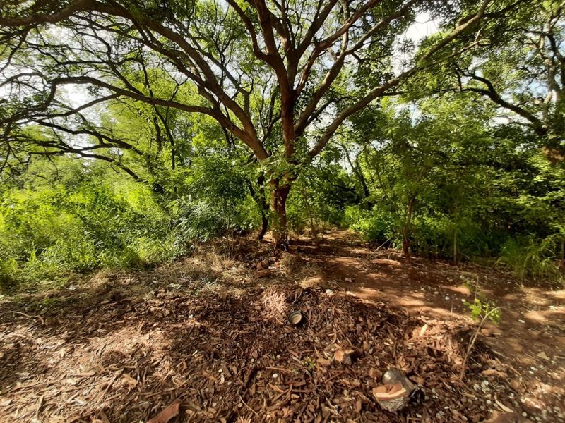 Stand for sale in Gravelotte - Photo 4