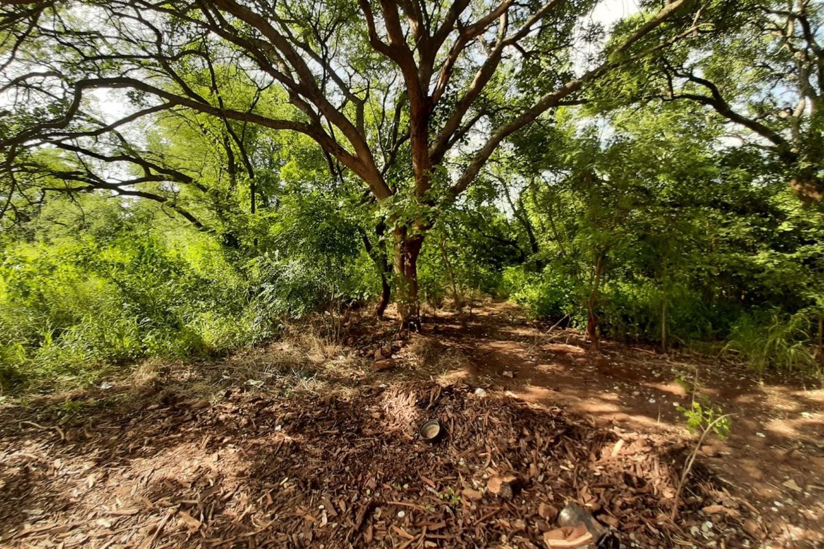 Stand for sale in Gravelotte - Photo 4