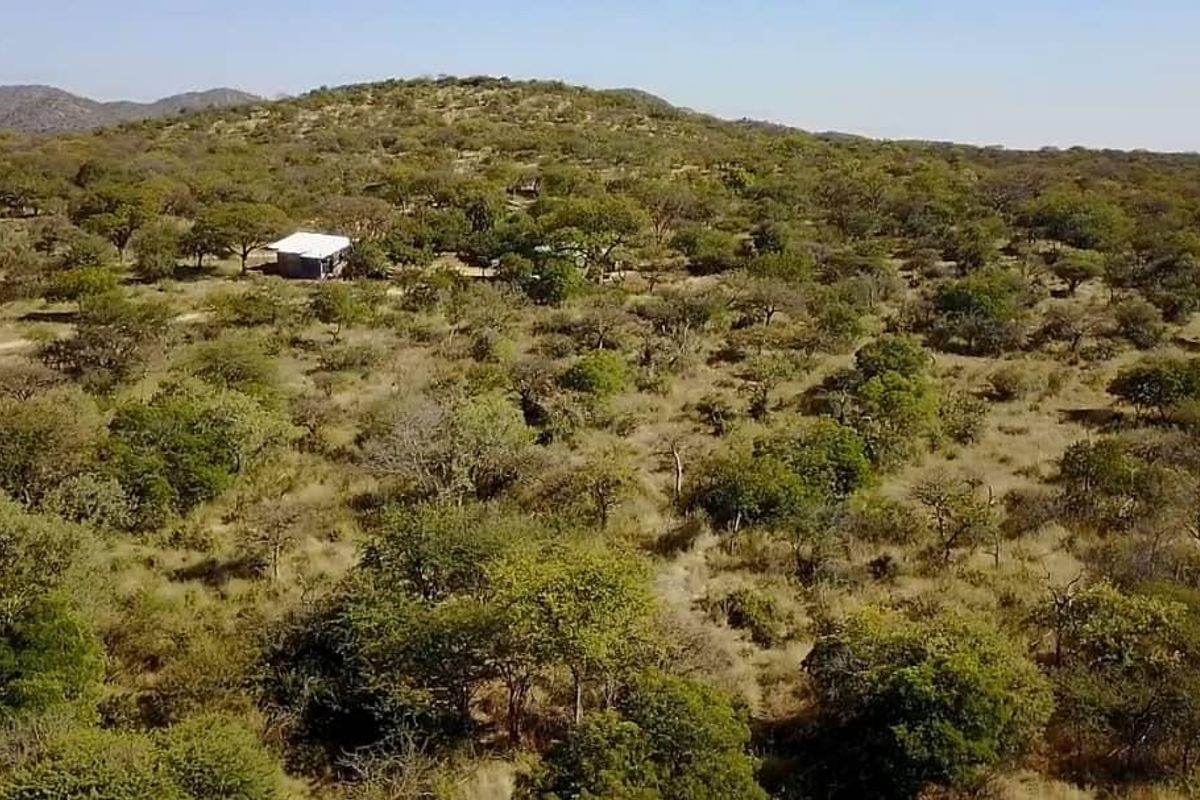 Game/Stock farm for sale Otavi Namibia - Photo 3