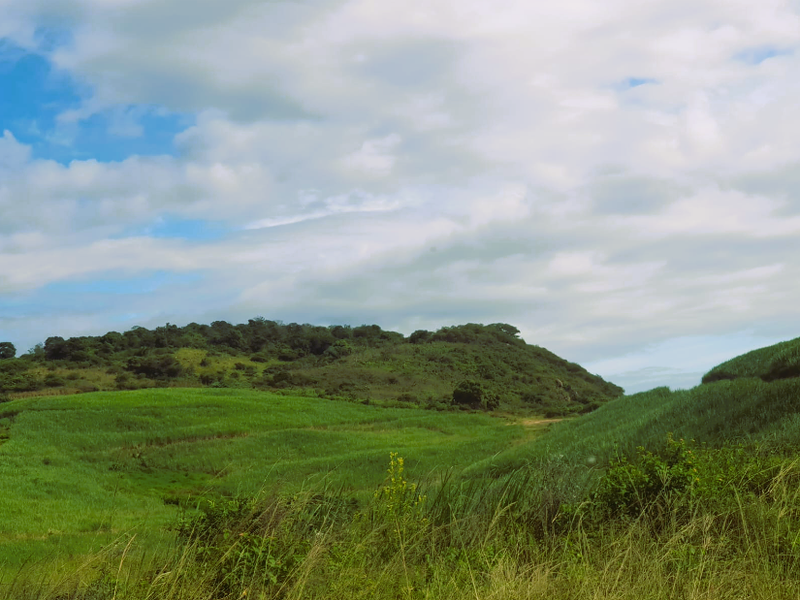 Farm for Sale Port Shepstone - Photo 2