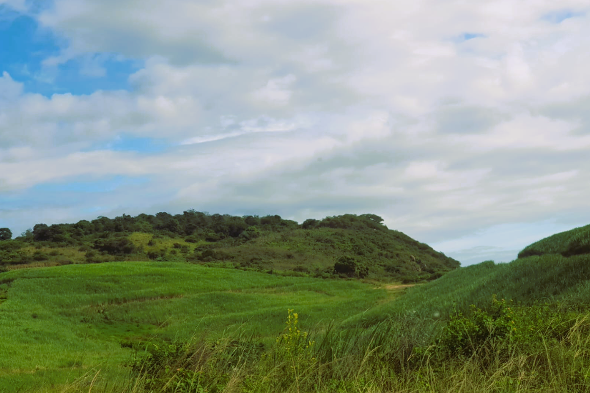 A scenic view of the farm property featuring rolling green hills, lush grassland, and natural woodland under a cloudy sky.