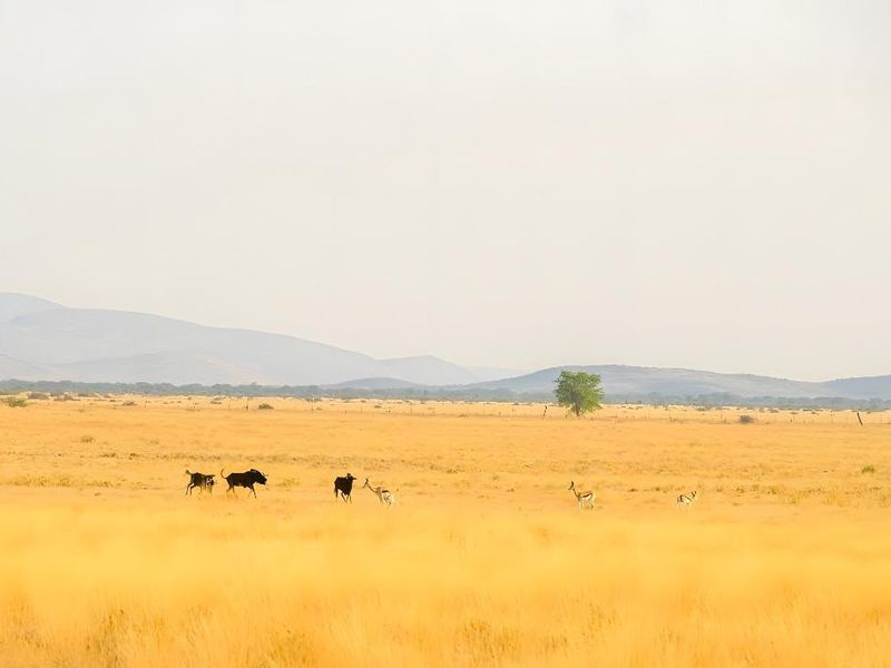 Namibia's Hidden Gem: Unveiling an Exclusive Farm Paradise - Photo 10