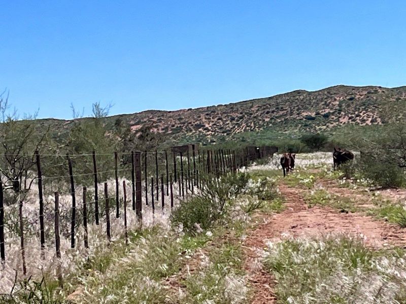 Farm close to Aroab - Photo 3
