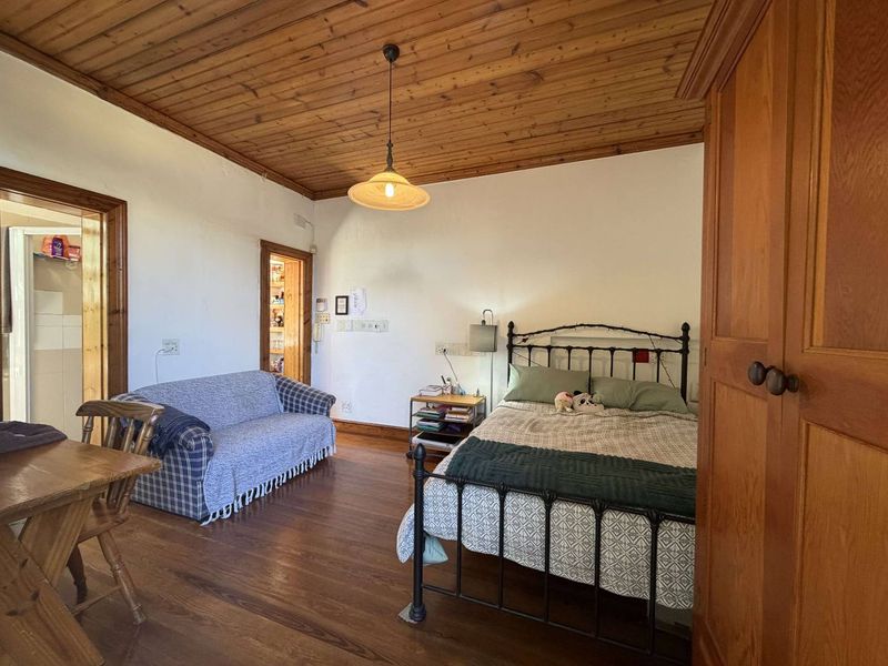 Spacious bedroom featuring warm timber ceiling and flooring, complete with a built-in wardrobe and access to adjacent rooms.