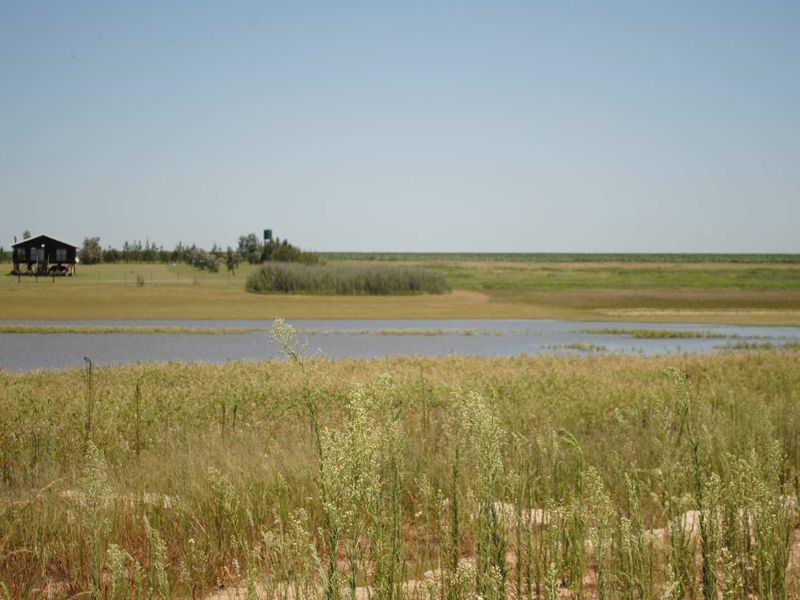 Vaal Dam water front stands from 1.5ha 20Km from Vaal Marina - Photo 8