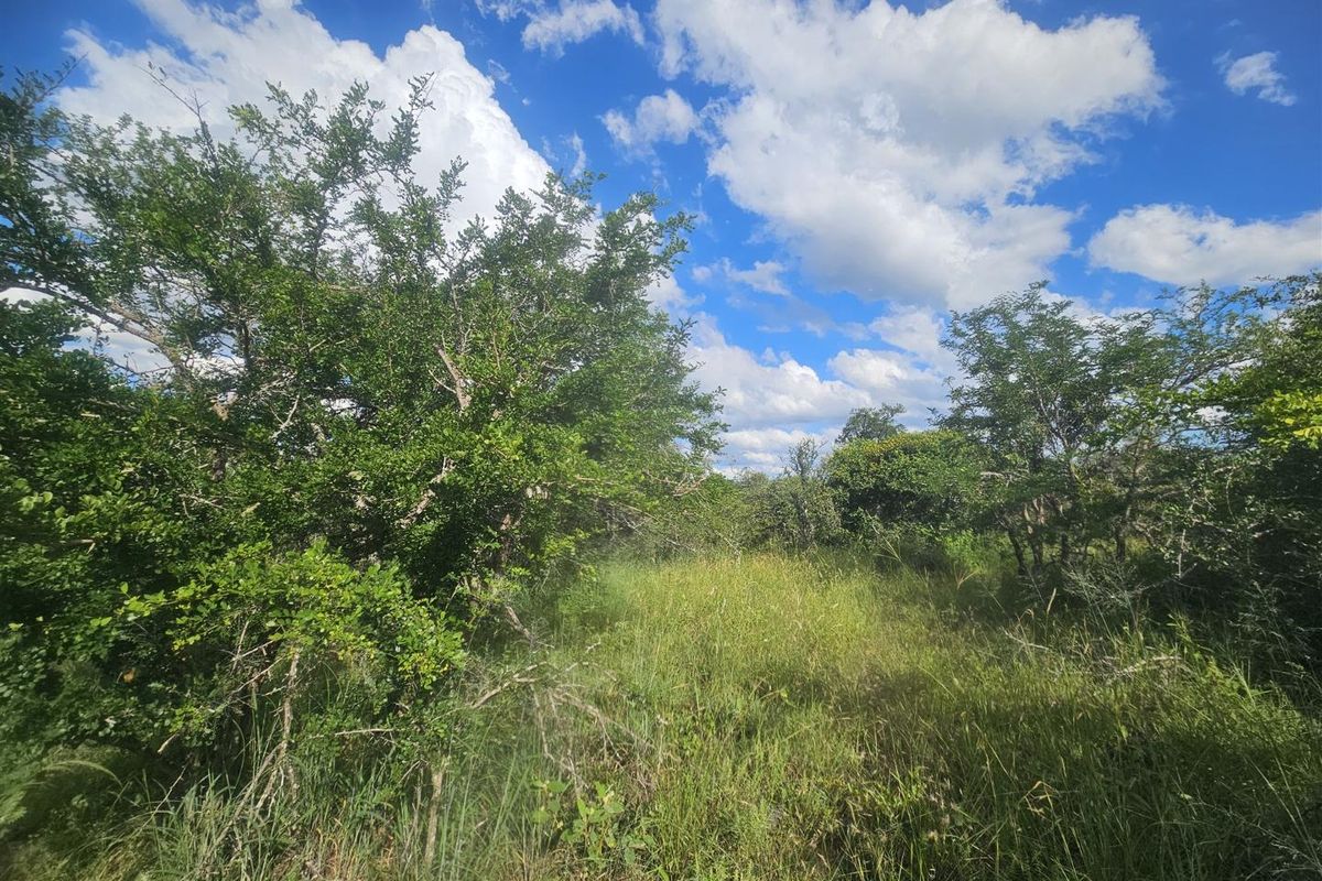 Riverfront stand on Moditlo Wildlife Estate - Photo 5