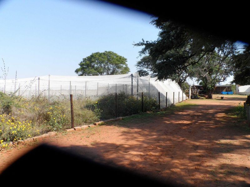 750 HECTARE FARM FOR SALE IN MOOKGOPONG - Photo 10