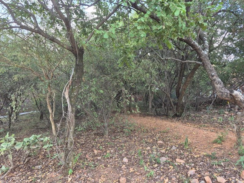 400m2 Level Stand - Photo 2