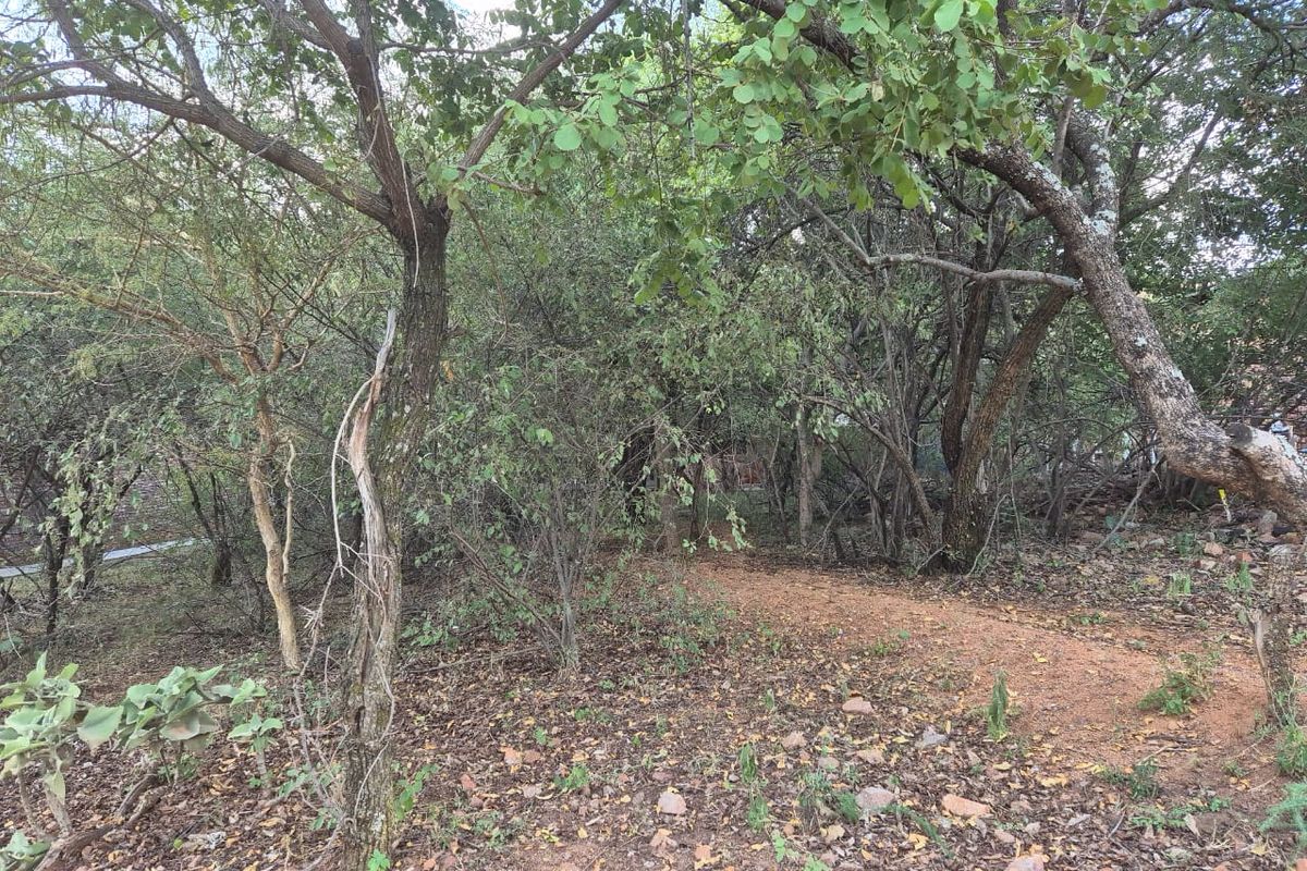 400m2 Level Stand - Photo 2