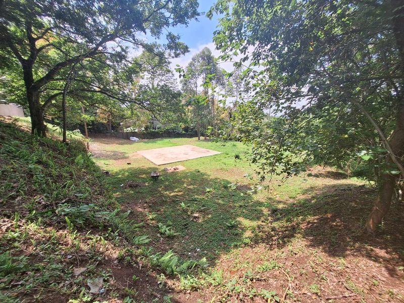 A Rare Sanctuary of Space, Security & Scenic Beauty - Photo 8