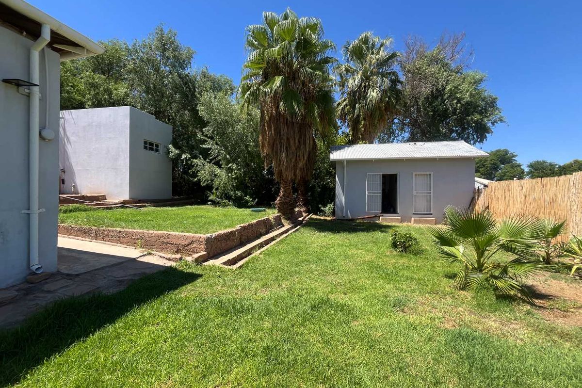 A spacious rear garden featuring a lawn, mature palm trees, a retaining wall, and a detached outbuilding with reed fencing along the boundary.
