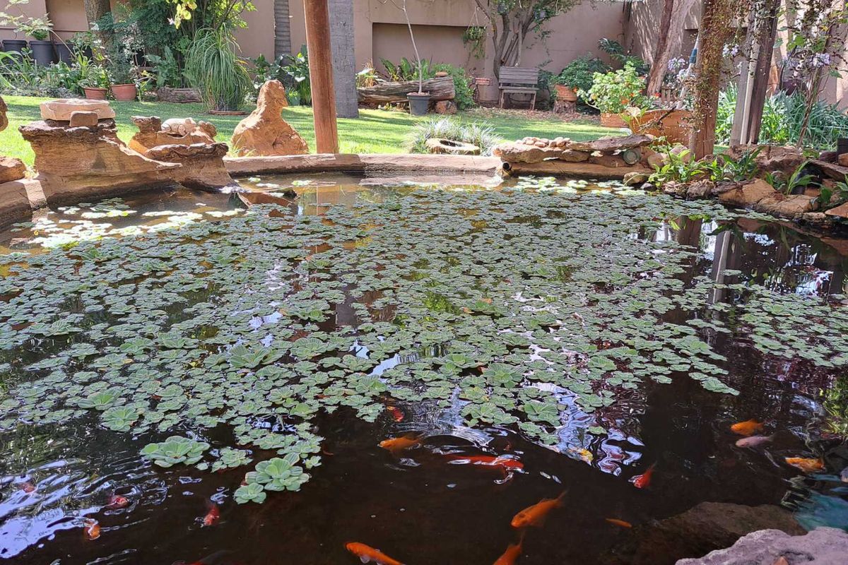 1 Bedroom House Share - Photo 3