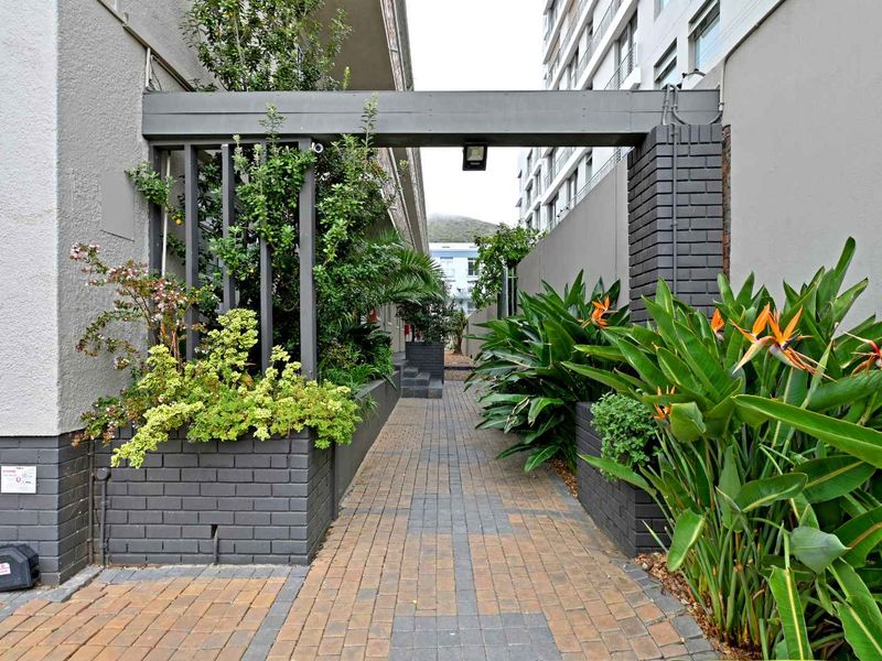 Classic Charm Meets Opportunity in the Heart of Green Point - Photo 2