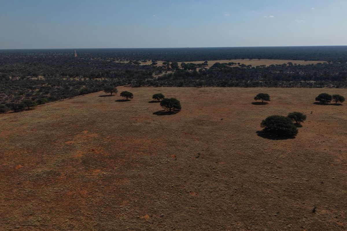 An aerial view of the expansive farm property, showcasing open grazing land and scattered native trees across the landscape.