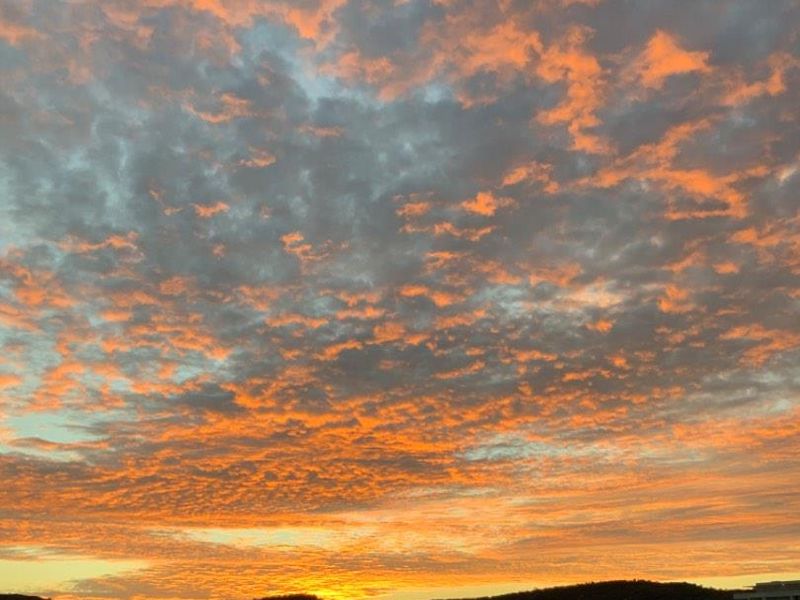 Double up with two homes on one property! - Photo 2